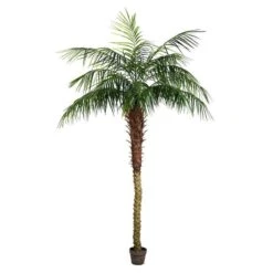Vickerman Unlit Artificial Palm Tree (525654) -Light Bulbs Shop 525654md