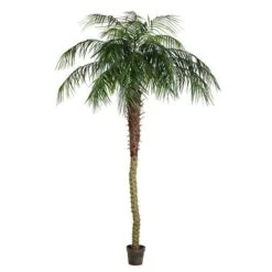 Vickerman Unlit Artificial Palm Tree (525661) 8 Vickerman Unlit Artificial Palm Tree (525661) -Light Bulbs Shop 525661md
