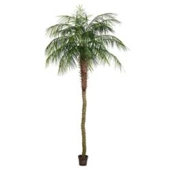 Vickerman Unlit Artificial Palm Tree (525678) 8 Vickerman Unlit Artificial Palm Tree (525678) -Light Bulbs Shop 525678md