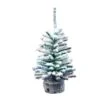 Vickerman Unlit Christmas Tree (3 Pack) (551035) -Light Bulbs Shop 551035lg