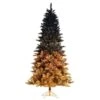Vickerman Unlit Christmas Tree (558430) -Light Bulbs Shop 558430lg