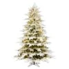 Vickerman Prelit Artificial Christmas Tree (563946) -Light Bulbs Shop 563946lg
