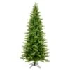 Vickerman Unlit Artificial Christmas Tree (574317) -Light Bulbs Shop 573822lg 2
