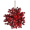 Vickerman Red Snow Berry Ball (611043) -Light Bulbs Shop 611043lg