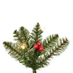 Vickerman Prelit Artificial Christmas Bush (627679) -Light Bulbs Shop 6276792md