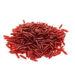 Vickerman Incandescent Mini Replacement Bulbs (50 Pack) (646632) -Light Bulbs Shop 646540pileamd