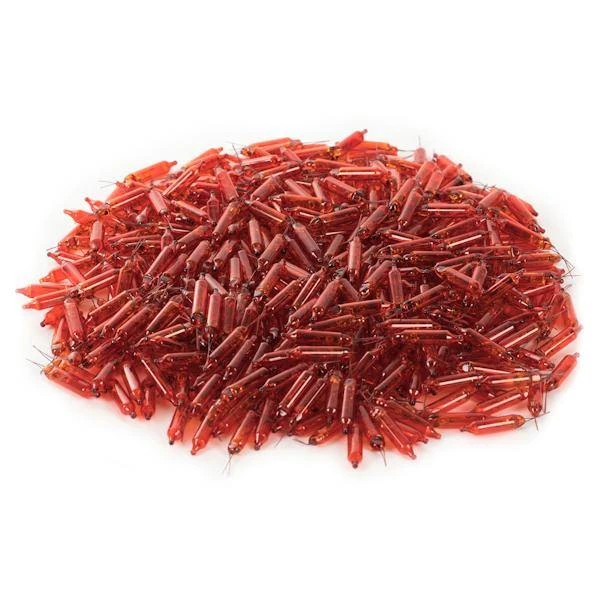 Vickerman Incandescent Mini Replacement Bulbs (500 Pack) (646724) 5 Vickerman Incandescent Mini Replacement Bulbs (500 Pack) (646724) - Image 3