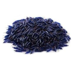 Vickerman Incandescent Mini Replacement Bulbs (500 Pack) (653937) -Light Bulbs Shop 646670pilemd 3