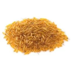 Vickerman Incandescent Mini Replacement Bulbs (500 Pack) (646717) -Light Bulbs Shop 646717pilemd 2