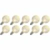 Vickerman LED Light Bulb (10 Pack) (646793) -Light Bulbs Shop 646793blg