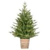 Vickerman Artificial Artificial Christmas Tree (657522) -Light Bulbs Shop 657522lg