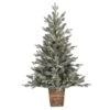 Vickerman Artificial Artificial Christmas Tree (657652) 1 Vickerman Artificial Artificial Christmas Tree (657652) -Light Bulbs Shop 657652lg