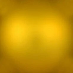 Vickerman Christmas Ornament (12 Pack) (661178) -Light Bulbs Shop 661161texmd