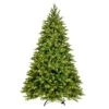 Vickerman Artificial Christmas Tree (663509) -Light Bulbs Shop 663509lg