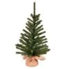 Vickerman Artificial Christmas Tree (664254) -Light Bulbs Shop 664254lg