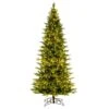 Vickerman Pre-Lit Artificial Christmas Tree (673829) -Light Bulbs Shop 673829lg