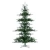 Vickerman Pre-Lit Artificial Christmas Tree (675403) -Light Bulbs Shop 675403lg