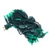 Vickerman LED Christmas Light Set (687772) 2 Vickerman LED Christmas Light Set (687772) -Light Bulbs Shop 687772lg