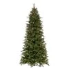 Vickerman Pre-Lit Artificial Christmas Tree (691885) 1 Vickerman Pre-Lit Artificial Christmas Tree (691885) -Light Bulbs Shop 691915lg
