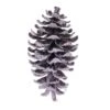 Vickerman Ornament (2 Pack) (718186)