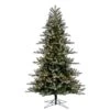 Vickerman Pre-Lit Artificial Christmas Tree (718735) -Light Bulbs Shop 718698lg 2