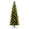 Vickerman Prelit Artificial Christmas Tree (725559) -Light Bulbs Shop 725511lg 1