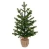 Vickerman Artificial Unlit Christmas Tree (744048)