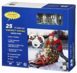 Vickerman Christmas Light String Set (76101) -Light Bulbs Shop 76101Boxedmd 1