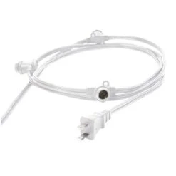 Bulbrite Light String (810050) -Light Bulbs Shop 810050Miscmd