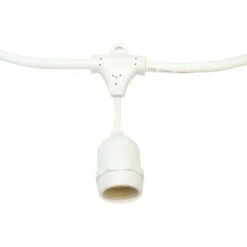 American Lighting Light String (99727)