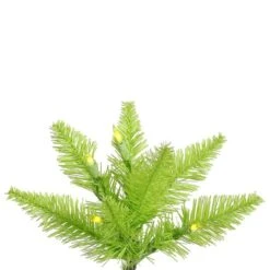 Vickerman Pre-Lit Christmas Tree (Includes On/Off Foot Switch) (28246) -Light Bulbs Shop Lime20Fir20Branchmd