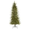 Vickerman Pre-Lit Artificial Christmas Tree (Includes On/Off Foot Switch) (29528) 2 Vickerman Pre-Lit Artificial Christmas Tree (Includes On/Off Foot Switch) (29528) -Light Bulbs Shop Slim20Regal20Frasierlg 2