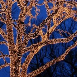 American Lighting LED String Light Set (99247) -Light Bulbs Shop treemd